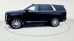 2026 Cadillac Escalade 1SA