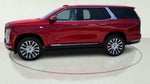 2026 Cadillac Escalade Platinum Luxury